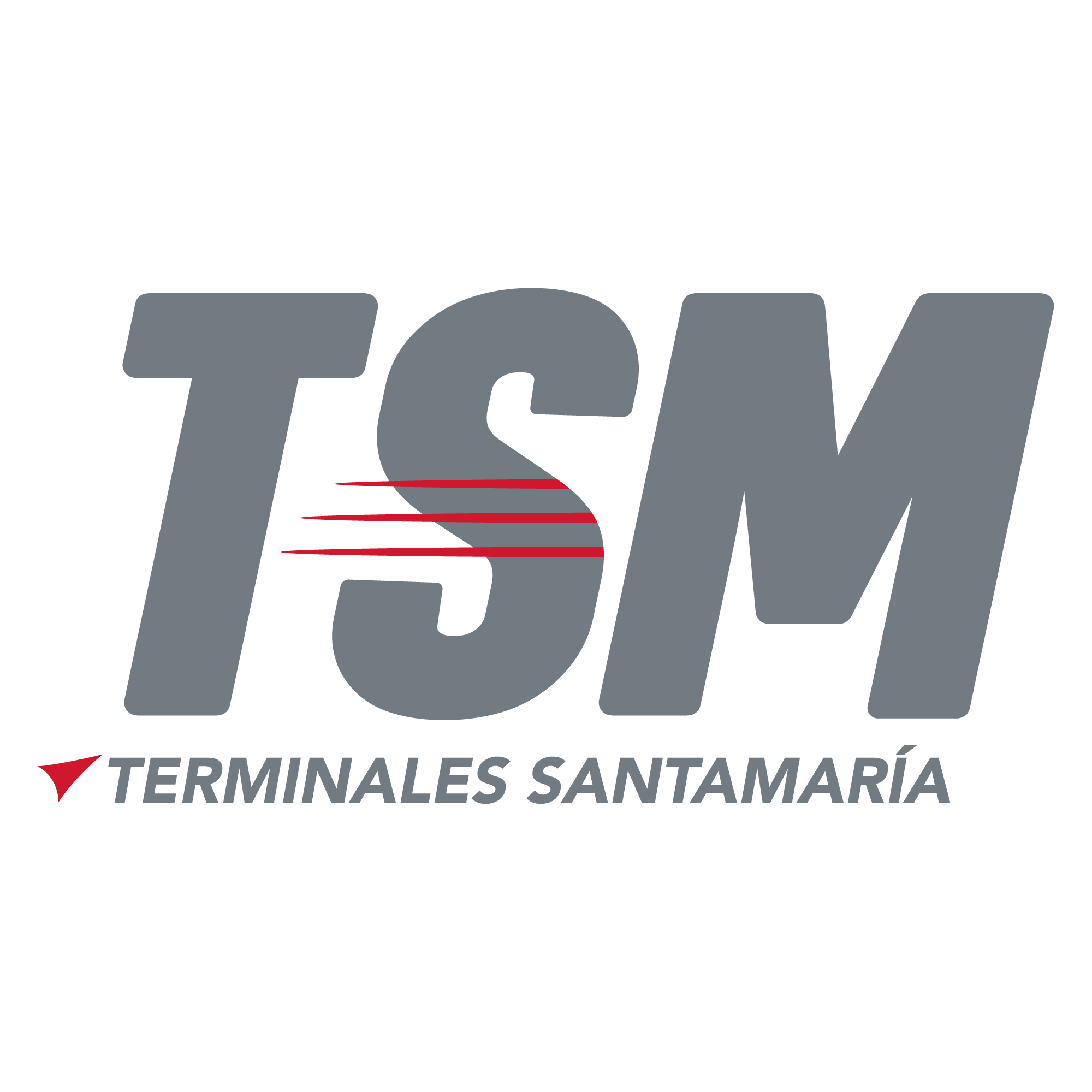 TSM Terminal Logo